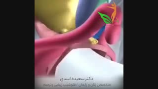 ارگاسم بانوان از طریق تحریک واژن است یا کلیتوریس؟