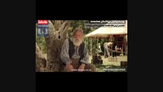 تاریخچه کشور نیوزیلند.نیوزلند  ، موسسه مهاجرتی سورنا ویزا