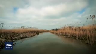 هزار زخم بر تن تالاب انزلی