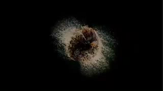 اپدیت اینستاگرام black pink