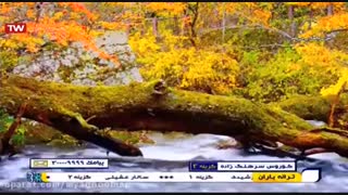 کوروس سرهنگ زاده اینا همش کار دله