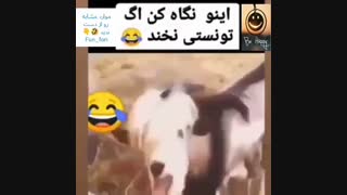 من این حجم از شباهتو درک نمیکنم