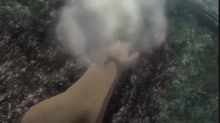 انیمه نبرد با تایتان ها فصل دوم قسمت هفتم _دوبله فارسی_