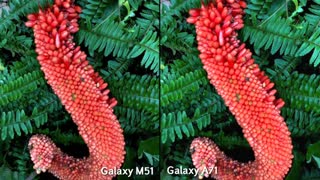 تست دوربین گلکسی M51 در مقابل A71