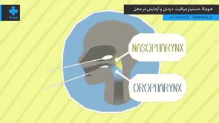 تست کرونا صادقیه