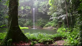 این عالیهههههه (حتما ببینید)