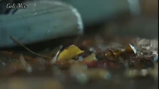 چقدر گفتم نرو دیوونه برگرد ... میکس سریال کره ای گابلین