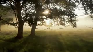 PharmaHempCBDオイル5%VAPE電子タバコ用10ml通販最安値と購入方法