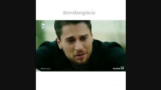 سودا و کورای