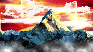 CBDオイルドロップ10%オリーブオイルベース通販最安値と購入方法｜高濃度フルスペクトラム