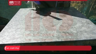 آموزش حرفه ای زنبورداری _ بازرسی هفتگی برای یافتن حشره ی موم خوار