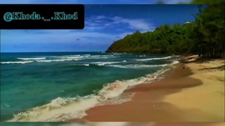 راز شکرگزاری