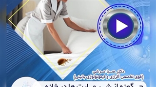 چگونه از شر مایت ها در خانه خلاص شویم؟