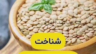 قیمت روز انواع عدس