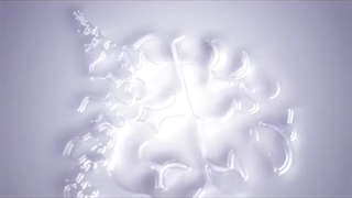 فیلم واقعی گامانایف