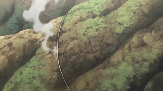 انیمه شکارچی X شکارچی - قسمت 1 - زیرنویس فارسی