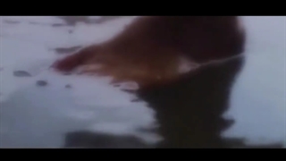 روز مادر مبارک