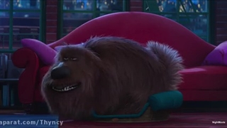 زندگی مخفی حیوانات خانگی 1