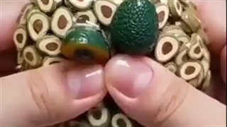 اسلایم/ کیوت