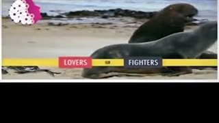 هماهنگی امواج دو نفر با یکدیگر