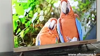 فروش تلویزیون های سام الکترونیک در شعب نمایندگی سامسونگ