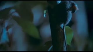 زمین در شب 2