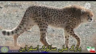 بخشی از پتانسیل های شهرستان اسفراین