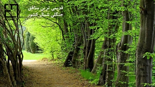 بهترین مناطق جنگل نوردی در شمال