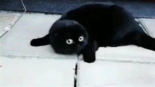 @-@