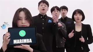 تقلید صادی ویندوز آیفون کره ای