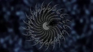 دانلود آهنگ جدید از Yahel & Eliyahu بنام Shaman