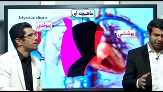 مبحث ماهیچه های تشکیل دهنده قلب زیست کنکور استاد شعبانی و شاکری