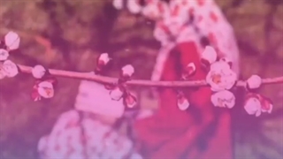 سخنان استاد پناهیان در مورد حجاب