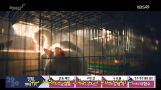 قسمت هفتم سریال خوش امدی+زیرنویس چسبیده Welcome 2020  با بازی L عضو گروه Infinite