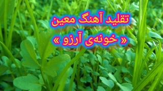 تقلید آهنگ معین « خونهی آرزو »
