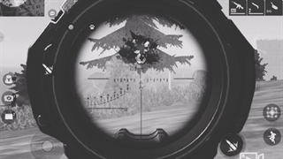 .::|Free Fire|::.