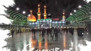 استوری آرزوی دیدن ضریح امام حسین علیه السلام