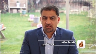 علیرضا معافی روانشناس خانواده، کودک و نوجوان در لندن انگلستان | دلایل جدایی در مهاجرت و نقش ما