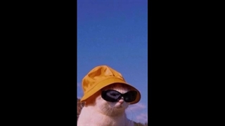 چآلش ماجرا جنگـــــــــــــــل