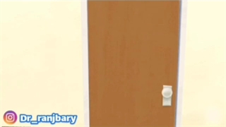 انیمیشن پروستات