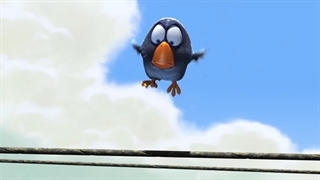 انیمیشن کوتاه گنجشک های آبی و پرنده مضاحم