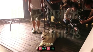 پشت صحنه سریالthe untamed