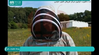آموزش جامع زنبور داری _ ویروس مزمن فلج زنبور