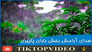 صدای باران