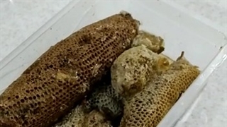 رضایت صددرصدی مشتریان عسل گراوان از عسل کوهی و عسل وحشی