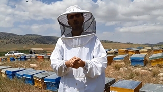 عسل نارس