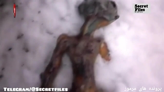 کشف جسد موجود فضایی در سیبری،روسیه (شکار دوربین _ قسمت ۳۲)