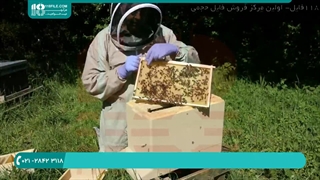 نحوه استفاده از اسید فرمیک و اسید استیک در ضدعفونی کردن کندو