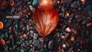 حجت اشرف زاده