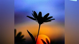 سهراب سپهری